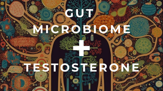 5 Testosterone Friendly Foods For Your Microbiome