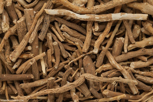 Ashwagandha: What Is It?